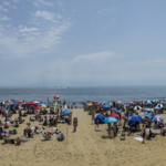 Ocean Fest 2017